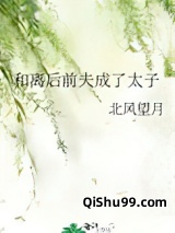 和离后前夫成了太子小说