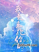 我是来抱你的小说