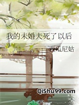 我的未婚夫死了以后小说