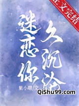 迷恋你久沉沦小说