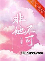非她不可小说