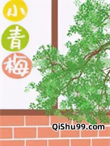 小青梅[八零]小说