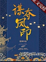 谋夺凤印小说
