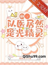 啊，队医居然是光精灵！小说