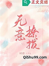 无意招惹（无意撩拨）小说