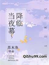 当夜幕降临小说