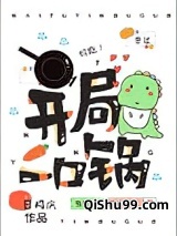 开局一口锅小说