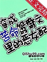 穿成苦命鸳鸯文里的坏女配[穿书]小说