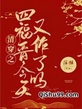 清穿之四爷的作妖小福晋小说