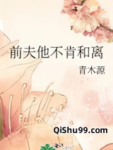 前夫他不肯和离小说