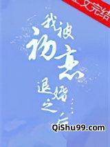 我被初恋退婚之后小说