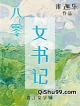 八零女书记小说
