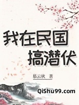 我在民国搞潜伏[穿书]小说