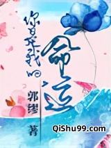 你是我的，命运小说