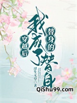 穿越后我成了替身的替身小说