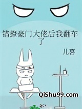 错撩豪门大佬后我翻车了小说