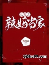 七零之辣妈当家小说