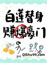 白莲替身，赚爆豪门小说