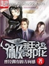 极品妖孽天王小说