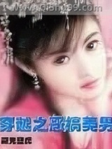 穿越之恶搞美男小说