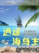 逍遥海岛主小说