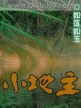 小地主小说