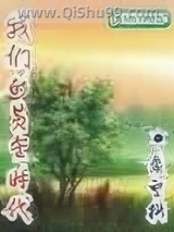 我们的黄金时代小说