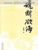 魂断欲海小说