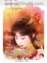 相思与君绝小说