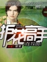 护花高手在校园小说