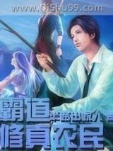 霸道修真农民小说