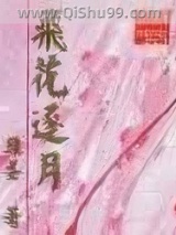 飞花逐月小说