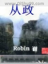 从政小说
