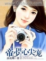 帝少的心尖宠小说