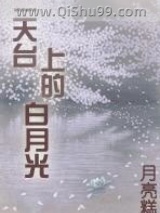 天台上的白月光小说
