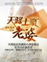 天降土豪老婆小说