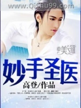妙手圣医小说