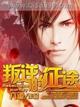 叛逆的征途小说