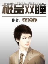极品双瞳小说