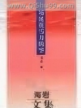 一场风花雪月的事小说