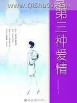 第三种爱情小说