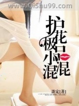 护花极品小混混小说