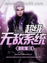 超级无敌系统小说