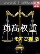 功高权重小说