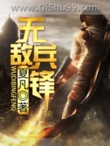 无敌兵锋小说