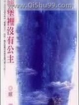 城堡里没有公主小说