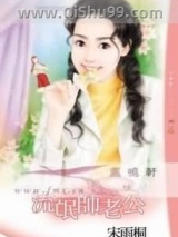 流氓帅老公小说