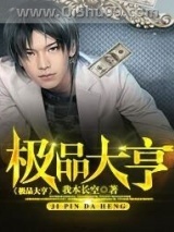 极品大亨小说