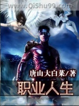 职业人生小说