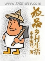 极品乡村生活小说